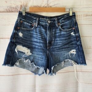 American Eagle 90's Boyfried Shorts